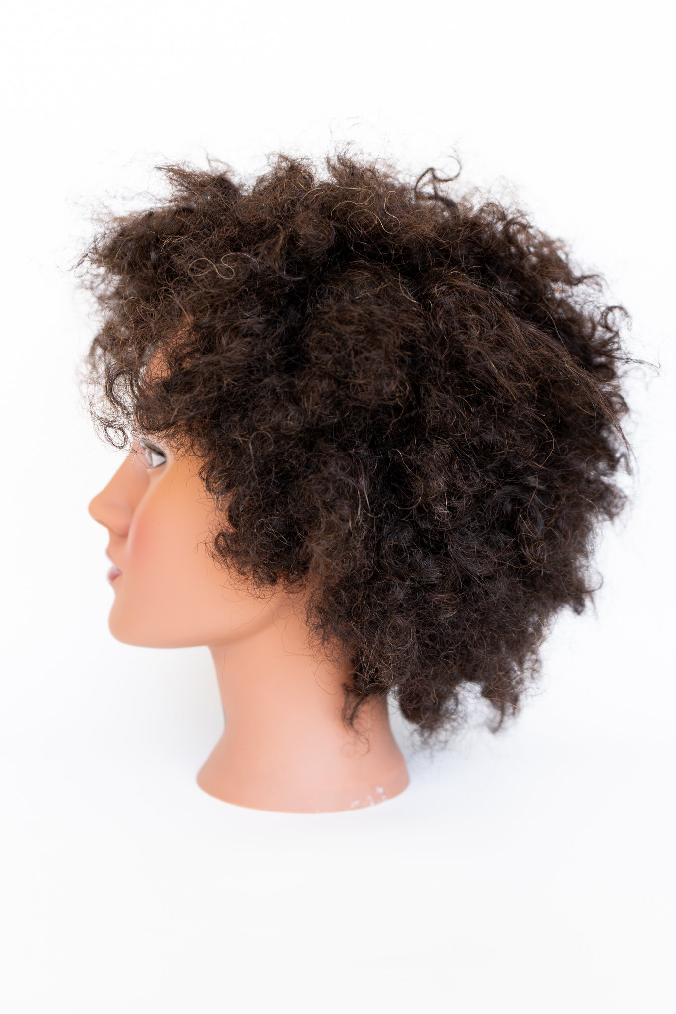 Aveda Arts Smooth Mannequin, Student
